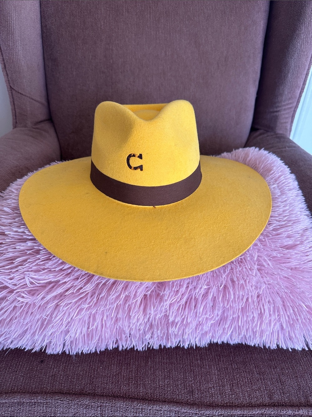 Charle 1 horse wide-brimmed hat